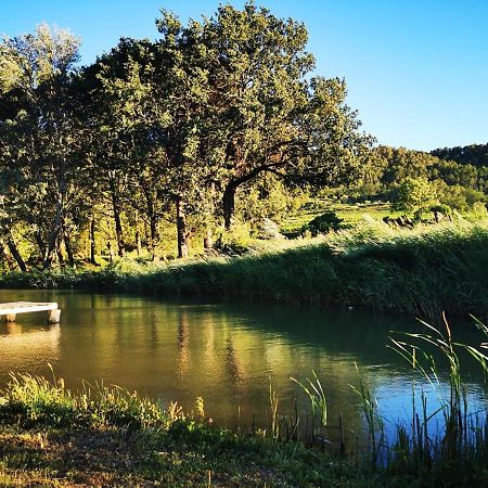 La Bastide Du Capelier - Chambre Bed & Breakfast Салерн Екстериор снимка